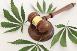 Orlando IRS Tax Problem Resolution